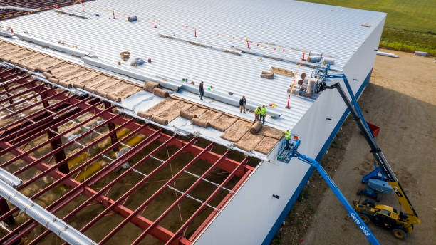 Best Attic Insulation Installation  in Oakland, TN