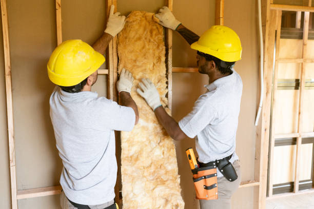 Best Eco-Friendly or Green Insulation Solutions  in Oakland, TN